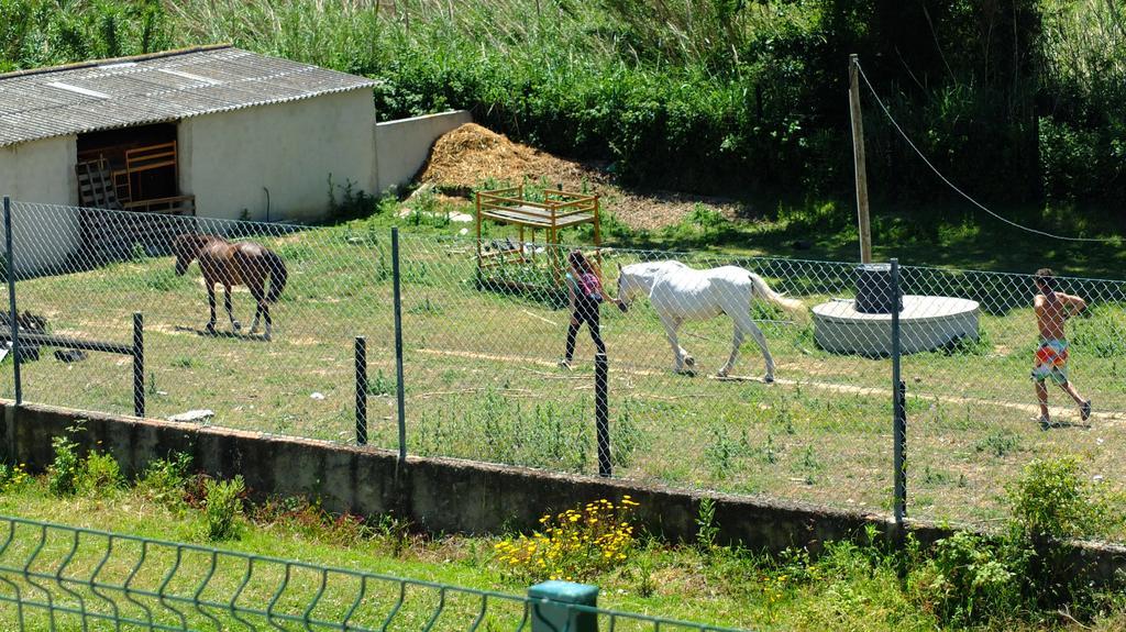 Maçeira Quinta Do Fornoゲストハウス エクステリア 写真