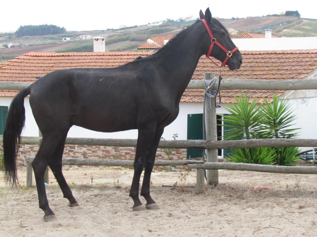 Maçeira Quinta Do Fornoゲストハウス エクステリア 写真