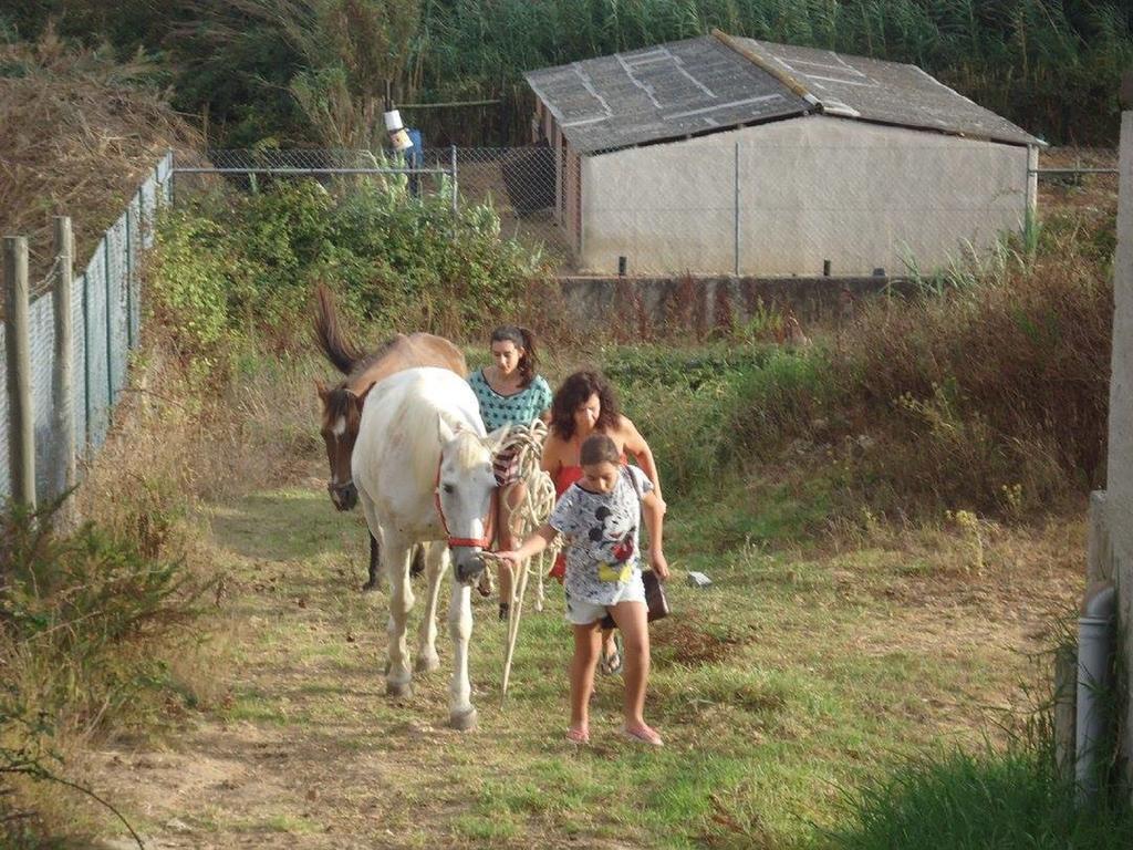 Maçeira Quinta Do Fornoゲストハウス エクステリア 写真